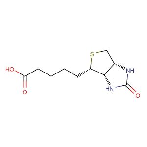 Biotin(Synonyms: Vitamin B7; Vitamin H; D-Biotin)