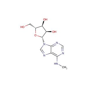 N6-Methyladenosine(Synonyms: 6-Methyladenosine; N-Methyladenosine)
