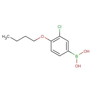 4-butoxy-3-chlorophenylboronic acid