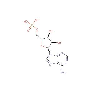 Adenosine monophosphate(Synonyms: AMP)