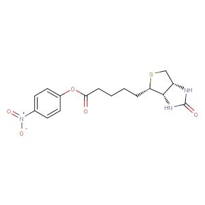 (+)-Biotin-ONP