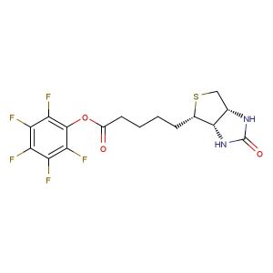 Biotin-PFP ester