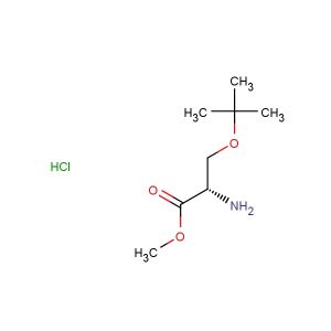 methyl (2S)-2-amino-3-(tert-butoxy)propanoate hydrochloride