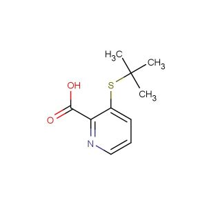 3-tert-butylthio-2-carboxypyridine