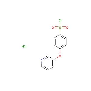 4-(3-pyridyloxy)benzenesulfonyl chloride hydrochloride