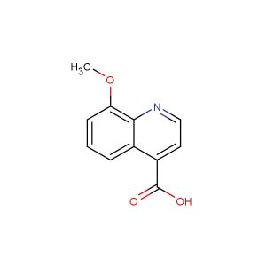 8-methoxyquinoline-4-carboxylic acid
