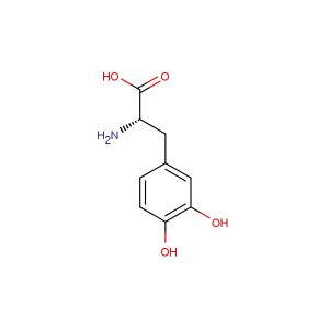 L-DOPA(Synonyms: Levodopa; 3,4-Dihydroxyphenylalanine)