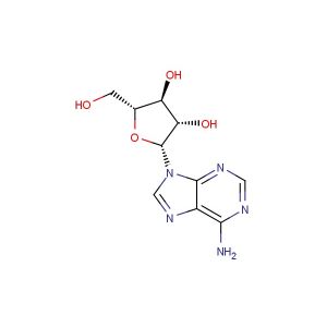 Vidarabine(Synonyms: Ara-A; Adenine Arabinoside; 9-beta-D-Arabinofuranosyladenine)