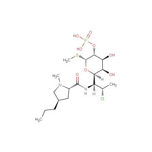 Clindamycin phosphate(Synonyms: Clindamycin 2-phosphate; U-28508)
