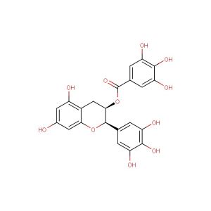 (-)-Epigallocatechin Gallate(Synonyms: EGCG; Epigallocatechol Gallate)