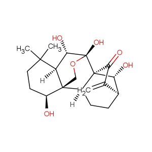Oridonin  (Synonyms: NSC-250682; Isodonol)