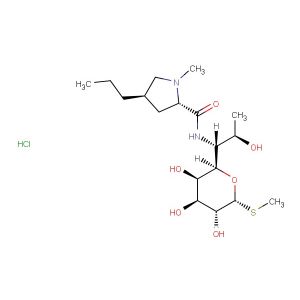 Lincomycin hydrochloride(Synonyms: U10149A)