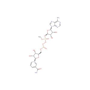 NAD+(Synonyms:   -DPN;   -NAD;   -Nicotinamide Adenine Dinucleotide)