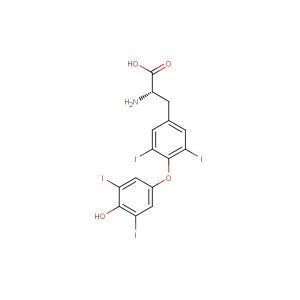 L-Thyroxine(Synonyms: Levothyroxine; T4)