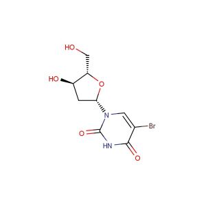 5-BrdU(Synonyms: BrdU; 5-Bromo-2'-deoxyuridine; BUdR)