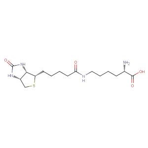 Biocytin(Synonyms: (+)-Biocytin)