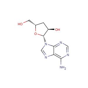 Cordycepin(Synonyms: 3'-Deoxyadenosine)