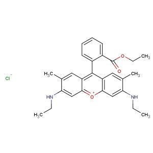 Rhodamine 6G(Synonyms: Basic Red 1)
