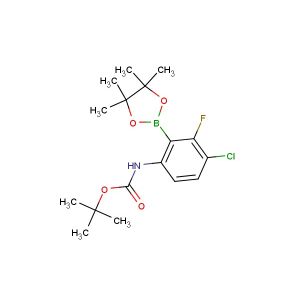 tert-butyl (4-chloro-3-fluoro-2-(4,4,5,5-tetramethyl-1,3,2-dioxaborolan-2-yl)phenyl)carbamate