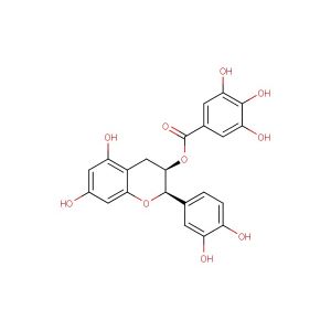 (-)-Epicatechin gallate(Synonyms: Epicatechin gallate; ECG; (-)-Epicatechin 3-O-gallate)