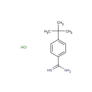 4-(tert-butyl)benzimidamide hydrochloride