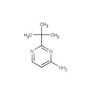 2-tert-butylpyrimidin-4-amine