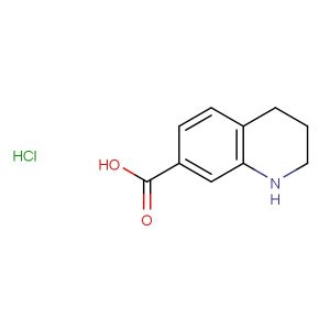 1,2,3,4-tetrahydroquinoline-7-carboxylic acid hydrochloride