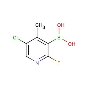 (5-chloro-2-fluoro-4-methylpyridin-3-yl)boronic acid