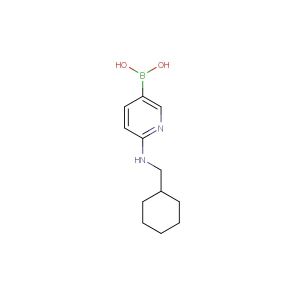 (6-((cyclohexylmethyl)amino)pyridin-3-yl)boronic acid