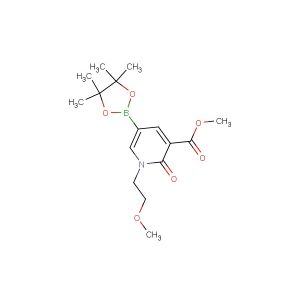 methyl 1-(2-methoxyethyl)-2-oxo-5-(tetramethyl-1,3,2-dioxaborolan-2-yl)-1,2-dihydropyridine-3-carboxylate