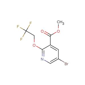 methyl 5-bromo-2-(2,2,2-trifluoroethoxy)pyridine-3-carboxylate