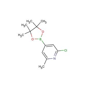 2-chloro-6-methyl-4-(4,4,5,5-tetramethyl-1,3,2-dioxaborolan-2-yl)pyridine
