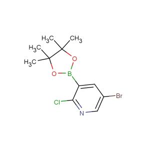 5-bromo-2-chloro-3-(4,4,5,5-tetramethyl-1,3,2-dioxaborolan-2-yl)pyridine