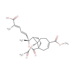 Pseudolaric Acid B