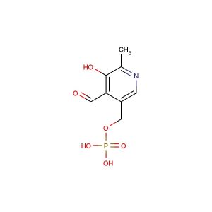 Pyridoxal phosphate(Synonyms: Pyridoxal 5  -phosphate; Pyridoxyl phosphate)