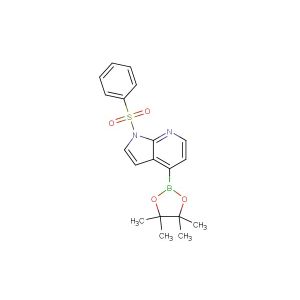1-(benzenesulfonyl)-4-(tetramethyl-1,3,2-dioxaborolan-2-yl)-1H-pyrrolo[2,3-b]pyridine