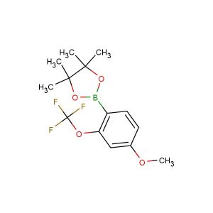 2-(4-methoxy-2-(trifluoromethoxy)phenyl)-4,4,5,5-tetramethyl-1,3,2-dioxaborolane