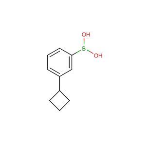 3-cyclobutylphenylboronic acid