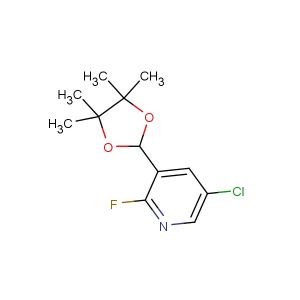 5-chloro-2-fluoro-3-(4,4,5,5-tetramethyl-1,3-dioxolan-2-yl)pyridine