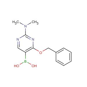 4-benzyloxy-2-dimethylamino-pyrimidine-5-boronic acid