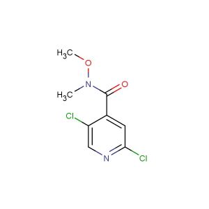 2,5-dichloro-N-methoxy-N-methylisonicotinamide