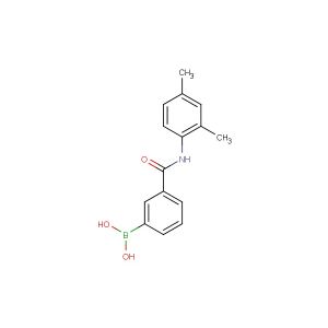 3-(2,4-dimethylphenylcarbamoyl)phenylboronic acid