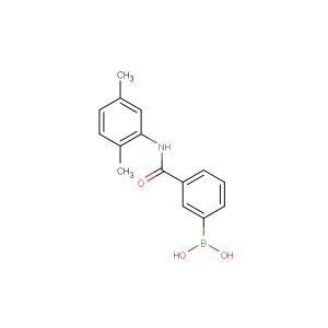 3-(2,5-dimethylphenylcarbamoyl)phenylboronic acid