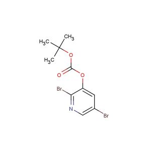 tert-butyl 2,5-dibromopyridin-3-yl carbonate
