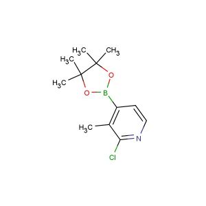 2-chloro-3-methyl-4-(4,4,5,5-tetramethyl-1,3,2-dioxaborolan-2-yl)pyridine