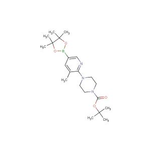 tert-butyl 4-(3-methyl-5-(4,4,5,5-tetramethyl-1,3,2-dioxaborolan-2-yl)pyridin-2-yl)piperazine-1-carboxylate