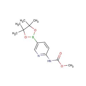 methyl (5-(4,4,5,5-tetramethyl-1,3,2-dioxaborolan-2-yl)pyridin-2-yl)carbamate