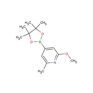 2-methoxy-6-methyl-4-(4,4,5,5-tetramethyl-1,3,2-dioxaborolan-2-yl)pyridine