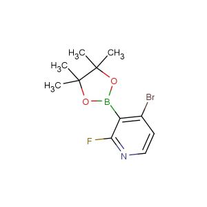 4-bromo-2-fluoro-3-(4,4,5,5-tetramethyl-1,3,2-dioxaborolan-2-yl)pyridine
