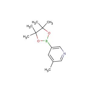3-methyl-5-(4,4,5,5-tetramethyl-1,3,2-dioxaborolan-2-yl)pyridine